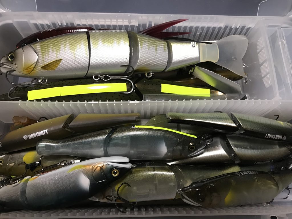 沢山のビッグベイト