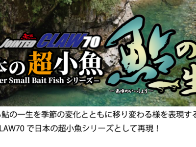 日本の超小魚シリーズ・鮎の一生